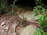 20050227-RedHill 077